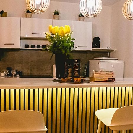 Aparts For You- Premium II Centrum Stary Toruń Eksteriør billede